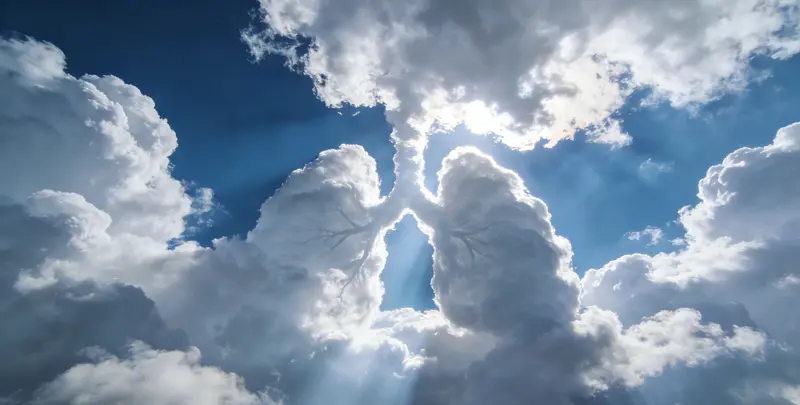 商洛肺癌靶向120基因检测（组织）图片1