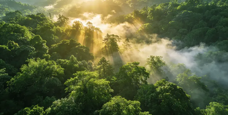 商洛肺癌12基因ctDNA突变检测(血液）图片1