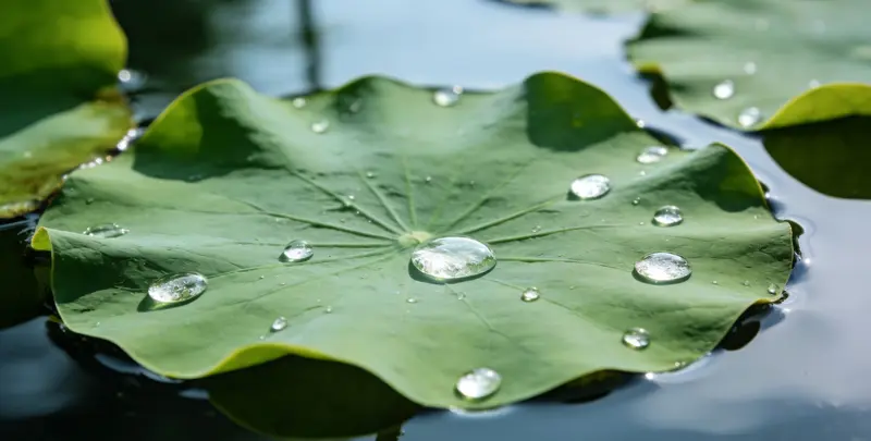 商洛乳腺癌21基因mRNA表达分析图片1