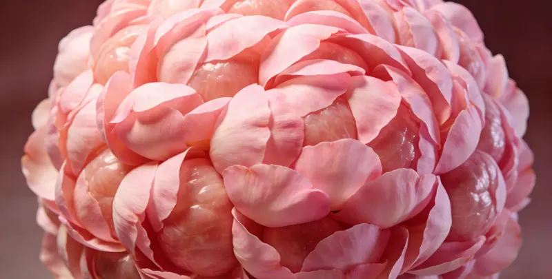 商洛BRCA1/2乳腺癌卵巢癌基因检测图片1