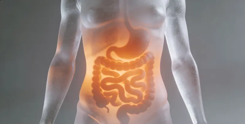 商洛食管癌甲基化检测图片1